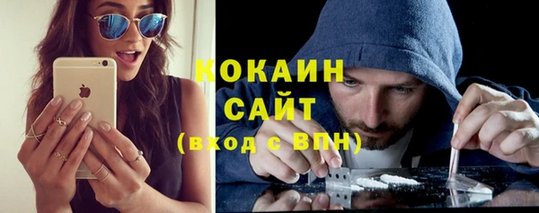 гидра Богданович