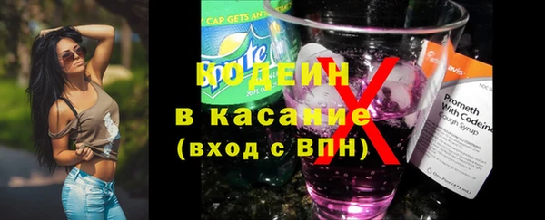 гидра Богданович