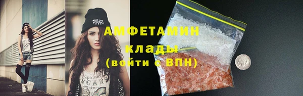 гидра Богданович