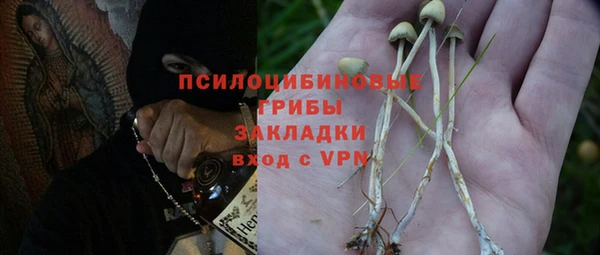 гидра Богданович