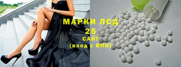 гидра Богданович