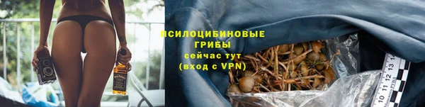 каннабис Богородицк