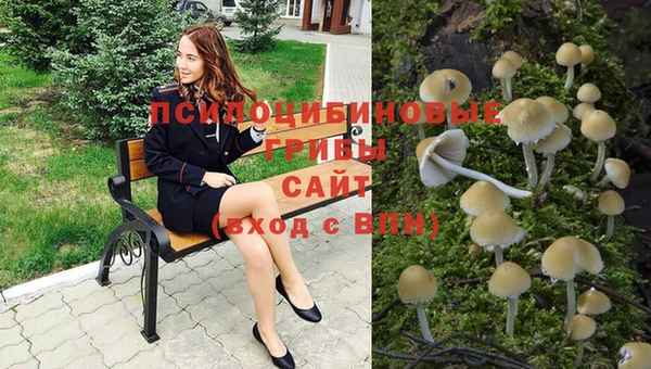 гидра Богданович