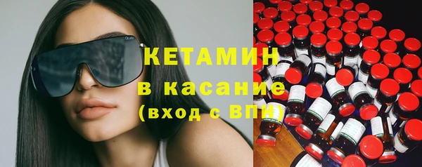 гидра Богданович