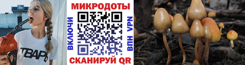 Галлюциногенные грибы Cubensis  Купить где  Котельнич 